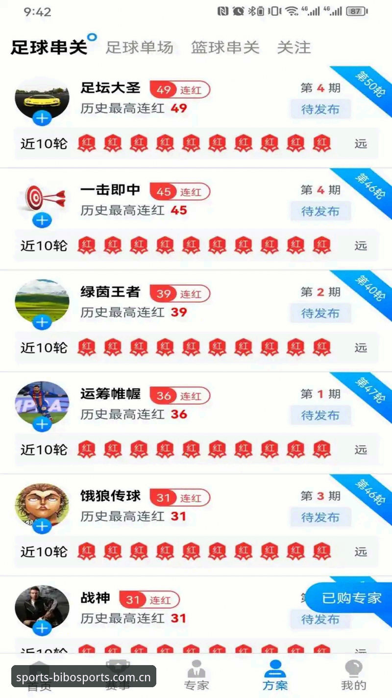 深度揭秘：BIBO体育下载教程背后的高效操作真相
